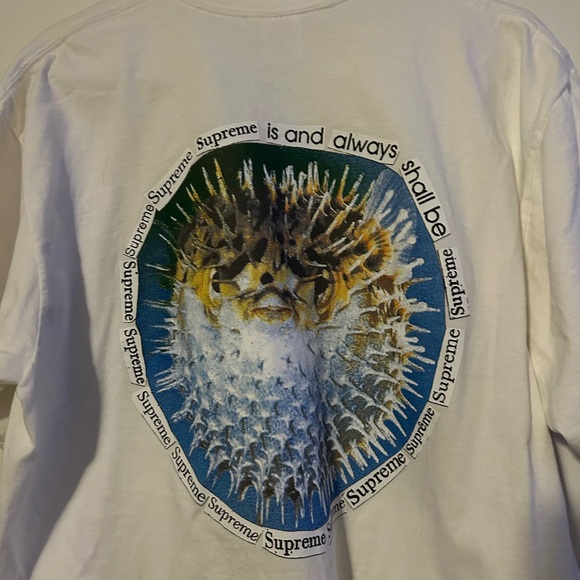 Supreme Blowfish T shirt - Picture 2 of 6